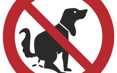 How Dogs Pick Where They Poop